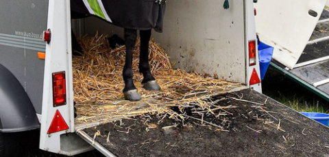 Horse Trailer Mats